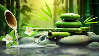 Relaxing Sleep Music  Insomnia Stress Relief Relax Sleep Spa amp Meditation Music Heart Healing [upl. by Paluas203]