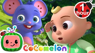 Play Peekaboo with JJ  Animals for Kids  Animal Cartoons  Funny Cartoons  Learn about Animals [upl. by Giuliana]