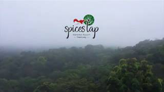 SPICES LAP Resort Thekkady [upl. by Ecniv]