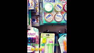 Best stationery in the world Best Doms Stationery  Best Fair Stationery doms flair art craft [upl. by Ulita743]