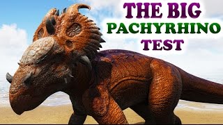 The BIG PachyRhinoSaurus TEST PVP All Passive Creatures Ark Survival Evolved Pachrhino gameplay [upl. by Macey647]