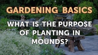 What Is the Purpose of Planting in Mounds [upl. by Fechter988]