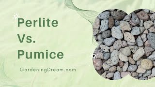 Perlite Vs Pumice [upl. by Abram]