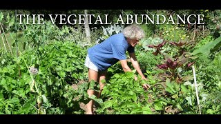 The Vegetal Abundance  Philip Forrer  hugel mounds raised garden beds hugelkultur [upl. by Araid]