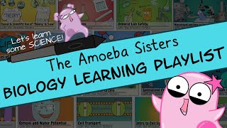 Amoeba Sisters Biology Learning Playlist Introduction [upl. by Edlun]