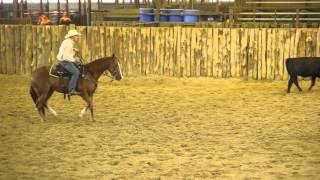 CR Dis Cats Tuff  Western Bloodstock Bash on the Brazos Sale [upl. by Ainahpets]