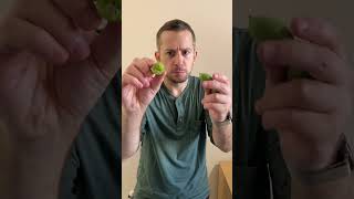 Hardy Kiwi exotic fruit tasting [upl. by Dielle]