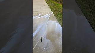 Pretreating Concrete to Pressure Wash [upl. by Carli]