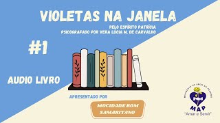 Áudio livro  Violetas na janela  Capítulo 1 [upl. by Iaj]