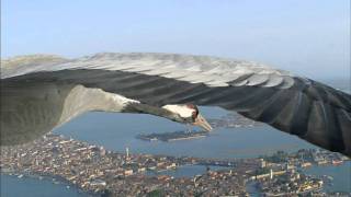 Flying Alongside Common Cranes Over Venice [upl. by Jose]