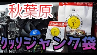 【PC福袋】ｸｯｿジャンク！？秋葉原最終処分場で買ったジャンクPC袋を開封！！！ [upl. by Akenahs]