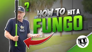 How To Hit A Fungo without looking like an IDIOT [upl. by Shelden]