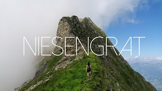 Niesengrat  Challenging Ridge Hike From Niesen Via Fromberghorn to Mäggisserenhorn  Bernese Alps [upl. by Nnairol234]