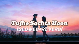 Tujhe Sochta Hoon lofi song lyrics SLOWEDREVERB ❤️ [upl. by Nuaj]