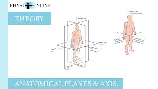 Anatomical planes amp axis [upl. by Remliw]