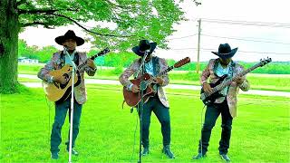 Rebeldes de Olancho cover entre golpes y besos “ [upl. by Iniretake]