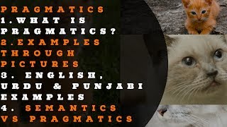 What Is Pragmatics  Semantics VS Pragmatics  English Urdu amp Punjabi Examples  Picture Examples [upl. by Chev]