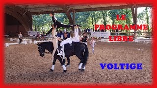 LE PROGRAMME LIBRE EN VOLTIGE EQUESTRE [upl. by Spiegleman750]