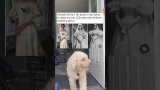 How did it last that long memepage dogmemes weddingmemes weddingdress memeoftheweek funny [upl. by Qiratla]