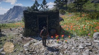 Unlimited Money and Items Glitches that still work in 2024  Red Dead Redemption 2 [upl. by Toback]