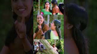 പെണ്ണിന്നു വലിയ ഫോമിൽ ആണല്ലോ Vellithira Movie  Prithviraj  Navya Nair  Kalabhavan Mani [upl. by Weisbart459]