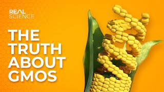 The Truth About GMOs [upl. by Eirolav204]