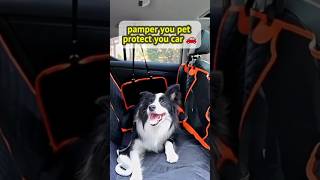 Ultimate Dog 🐶Car Seat cover petlover caraccessories petsefety smartgadget shorts [upl. by Allard]