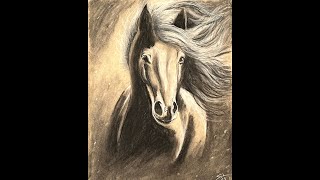 Horse Drawing in Charcoal [upl. by Almeeta]