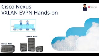 1 Nexus VXLAN EVPN CLI Handson  Underlay Configuration OSPF amp PIM [upl. by Akinert]