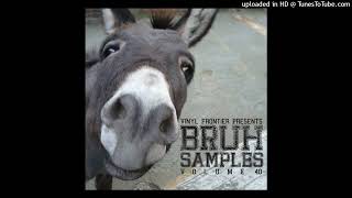 Vinyl Frontier Presents BRUH Samples Vol 40 Track 2 [upl. by Outlaw]