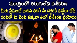 మూత్రంతో తిరుగులేని వశీకరణ  Stri Vashikaran Telugu  Vashikaran With Urine  Vashikaran Remedies [upl. by Bluh]