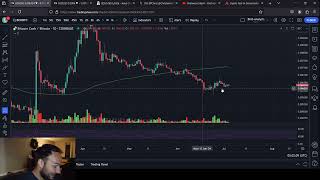 Bitcoin Cash VS Bitcoin Price Predictions [upl. by Ylro]