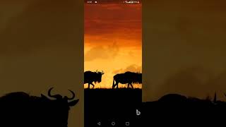 automatically change wallpaper using bing ai [upl. by Earlie]