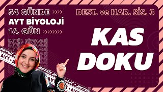 16 Kas Doku  Destek ve Hareket Sistemi  11 Sınıf Biyoloji  2024 AYT Biyoloji Kampı 16 Gün [upl. by Elaina196]