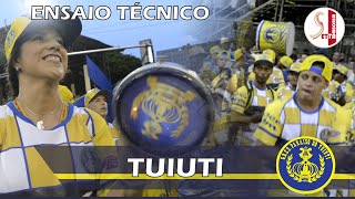 Ensaio Técnico Tuiuti 2016 [upl. by Anailli]