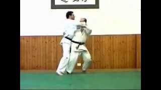 Judo Gokyo no waza  Dai Ikkyo [upl. by Barbaresi826]