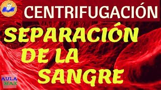 Centrifugación de la sangre  Separación en sus componentes [upl. by Nyvrem491]