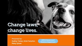 Become an ASPCA Advocacy Volunteer [upl. by Joung]