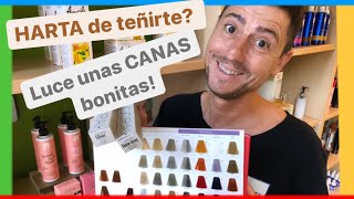 4 pautas para pasarse a las CANAS y dejar los tintes Luce ORGULLOSA tu nuevo look de canas [upl. by Schonfield607]