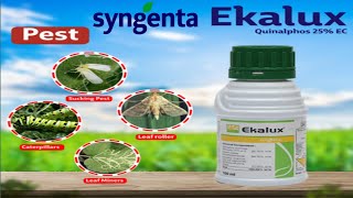 Ekalux Insecticide Syngenta Quinalphos 25 EC  Syngenta New Insecticide [upl. by Alfonse]