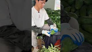 Turnover of millions from papaya cultivation 😱💯shorts youtubeshorts ytshorts shortvideo [upl. by Pacifa]