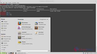 How to install Tixati 255 on Linux Mint 183 [upl. by Saphra]