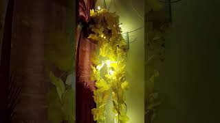 Last minute Diwali Decor idea Part 1 diwalidecoration ideas meesho meeshohomedecoritemshaul [upl. by Atalanta725]