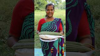 Silver Fish Curry With Vegetable shots [upl. by Liscomb]