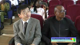 🔴Artisanat pilier dune économie émergente leçons du Japon pour une transformation durable Guinée [upl. by Tali]