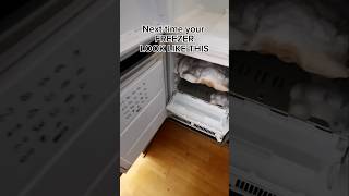 How to Defrost a Freezer With The Pots Methods [upl. by Anay883]