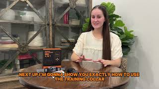 T800PLUS Dog Training Collar Instructional [upl. by Fotina]