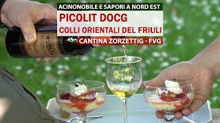 Picolit DOCG  Cantina Zorzettig  Colli Orientali del Friuli [upl. by Nairam258]