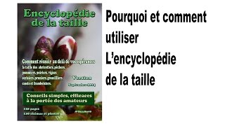 Verger Comment devenir un expert de la taille des arbres fruitiers facilement [upl. by Calabresi]