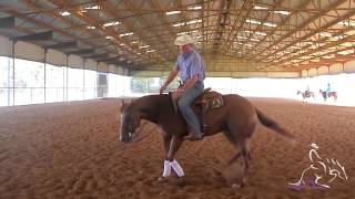 Reining Horse Training Exercises for Horse That Suck Back in Their Spin with Pete Kyle [upl. by Einhpad797]